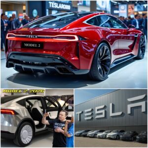 Elon Musk Announced 2026 Tesla Model 2's HUGE CHANGES: Design, Battery & MORE - ANN