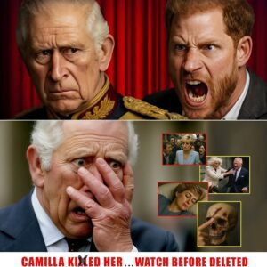 💥“KING CHARLES BREAKS DOWN IN TEARS AS PRINCE EDWARD FINALLY REVEALS THE TRUTH ABOUT DIANA — 27 YEARS OF SILENCE SHATTERED!” 💥п