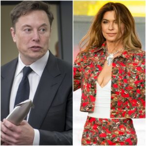 BREAKING: Shania Twain Shocks Elon Musk By Rejecting Tesla's $500 Million Deal na