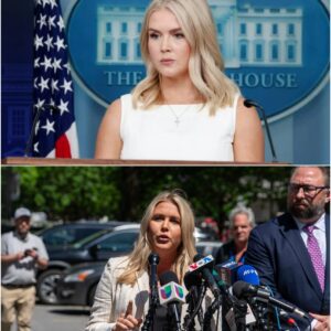 Karoline Leavitt Ripped for 'Making Up Trump Resolving Fake Wars' TD