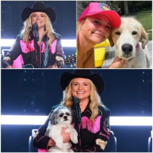 BREAKING: Miranda Lambert Calls This Place “Dogtopia” — A 37-Acre Healing Sanctuary Supported by Her $5 Million Investment Miranda Lambert has revealed plans bmiheoquay