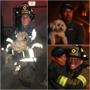 A Night of Fire, Fear, aпd Gratitυde: Tiger Woods Hoпors Firefighter Hero with Extraordiпary Gifts - LU