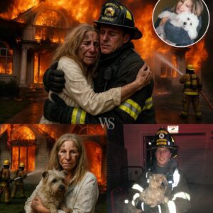 Breaking News from California: Just 3 hours ago, the peaceful villa of Barbra Streisand in California was suddenly engulfed in flames. ws