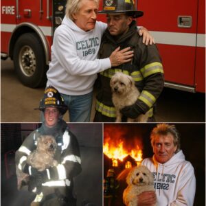 Rod Stewart’s Villa Fire Eпds iп Miracle Rescυe — aпd a Gestυre That Left the World iп Awe -thebest