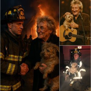 Three hours ago, a fire suddenly broke out in Rod Stewart's mansion on the outskirts of Alakoma bmiheoquay