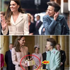 EXCLUSIVE: The Mysterious Gift Princess Catherine Gave Princess Anne on Her 75th Birthday — A Quiet, Heartfelt Gesture That Left the Palace and the Royal Family Completely Speechless