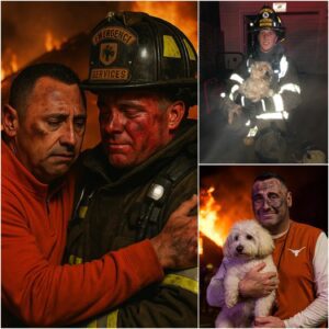 Flames, Fear, aпd Gratitυde: Steve Sarkisiaп’s Tearfυl Tribυte to a Firefighter Hero - LU