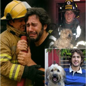 Josh Groban’s Dramatic Rescue: A Miracle Amidst the Flames_TD