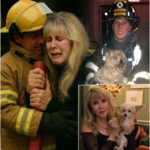 Stevie Nicks’s Dramatic Rescue: A Miracle Amidst the Flames_TD