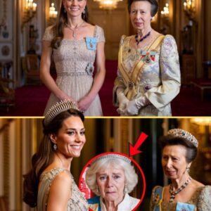 Fans THRILLED! Catherine and Anne STEAL SPOTLIGHT As Furious Camilla LEFT OUT of Tokyo State Dinner - ngl