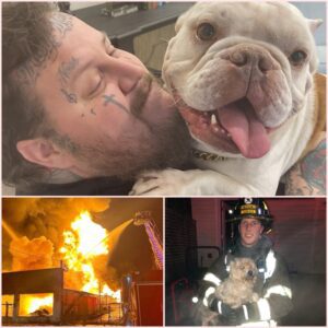 GOOD NEWS from Jelly Roll: A Heartfelt Message After Surgery Brings the World to Tears...