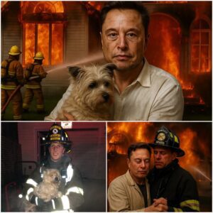 Elon Musk’s Alakoma Mansion Erupts in Flames — A Miracle Rescue Stuns the World
