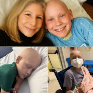 Dying Girl with Cancer Had One Final Wish — Barbra Streisand’s Unbelievable Response Left Her Family in Tears! ws
