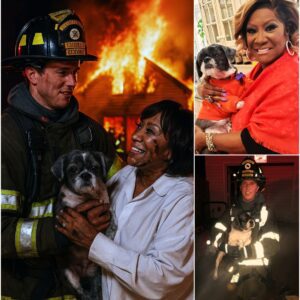 A MIRACLE HAPPENED: Just 3 Hours Ago, Patti LaBelle’s Mansion on the Outskirts Of Philadelphia Suddenly Burst Into Flames… 🔥