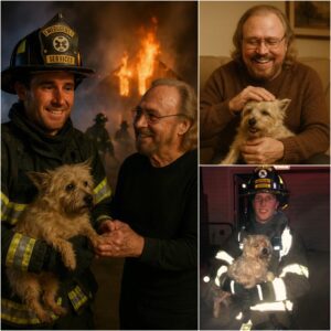 Three hours ago, a fire suddenly broke out in Barry Gibb's mansion on the outskirts of Alakoma bmiheoquay
