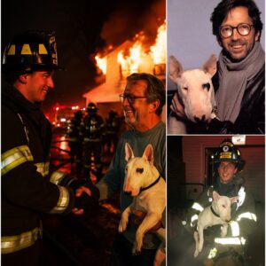A MIRACLE HAPPENED: Just 3 hours ago, Eric โs mansion in the town of Surey suddenly burst into flamesโฆ Inside, a housekeeper barely managed to escape, but his beloved dog was trapped ๐ฅ