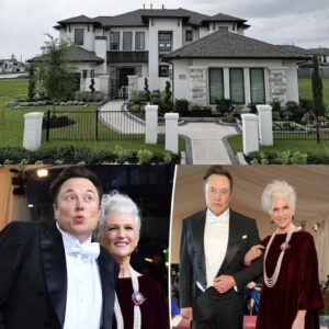 🚨 BREAKING: Elon Musk Turns Mother’s Humble Suburban Home Into Something Incredible—You Won’t Believe What He Did! na