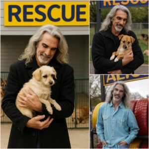 The sanctuary fell silent as Guy Penrod stepped forward, his silver hair glowing beneath the chapel lights, his eyes filled with reverence.. ws