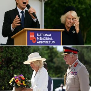 At the National Memorial Arboretum in Staffordshire, during the National Memorial Service organized by the Royal British Legion, the crowd fell into a reverent hush as Sir Cliff Richard stepped forward. ws
