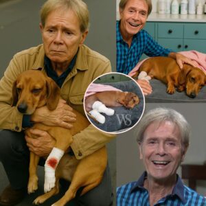 📰 Sir Cliff Richard’s Tender Moment: Music Legend Comforts Injured Dog on Westbourne Grove. ws