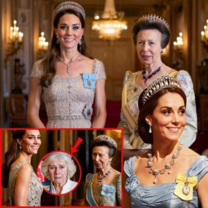 Fans THRILLED! Catherine and Anne STEAL SPOTLIGHT As Furious Camilla LEFT OUT of Tokyo State Dinner t