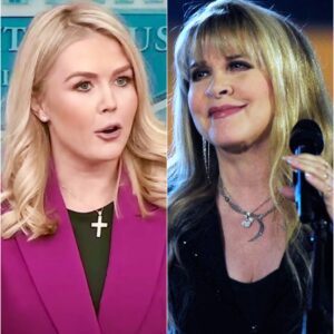 Karoline Leavitt POINTS IT OUT DIRECTLY AT Stevie Nicks — AND REGRETS IT IN FRONT OF MILLIONS!
