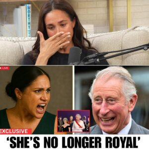 Meghan Markle ERASED! Buckingham Palace Orders Digital Purge Amid Harry’s Explosive New Memoir