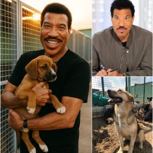 🐾 BREAKING NEWS: Lionel Richie Announces $10 Million “Paradise” for Stray Dogs and Cats nh