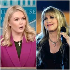 Karoline Leavitt POINTS IT OUT DIRECTLY AT Stevie Nicks — AND REGRETS IT IN FRONT OF MILLIONS! TD