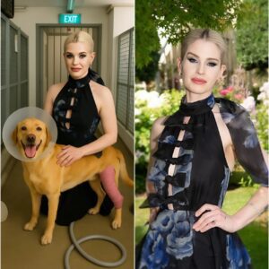 Kelly Osbourne Buys a Dog Rescue Center That’s About to Close – But What She Did to the Dogs Has the Internet Surprised nh