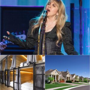 BREAKING NEWS: Rock star Stevie Nicks has donated his entire $12.9 million in tour bonuses and brand sponsorship earnings to build a series of homeless support centers across the working-class towns of Phoenix — TD