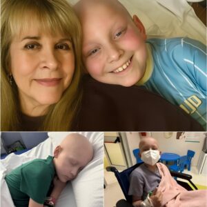 Dying Girl with Cancer Had One Final Wish —Stevie Nicks’s Unbelievable Response Left Her Family in Tears! TD