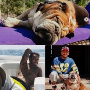 Lewis Hamilton Credits Bulldog Roscoe for Reviving His Spirit After Hungarian GP Struggles