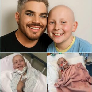 A Young Boy’s Final Wish: Adam Lambert’s Heartfelt Response Leaves Family in Tears nh