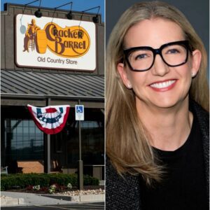Cracker Barrel’s radical CEO Julie Felss Masino's reportedly wanted to make the restaurant chain less white, and thus the removal of the beloved logo bearing a white man