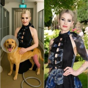 Kelly Osbourne Buys a Dog Rescue Center That’s About to Close – But What She Did to the Dogs Has the Internet Surprised nango