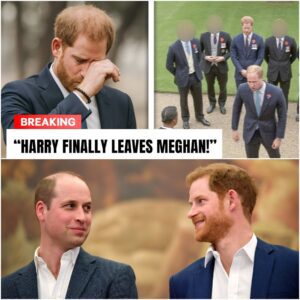 Prince William REFUSES To Speak With Prince Harry Despite Public Family PRESSURE - VIDEO