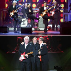 They said it would never happen again, but on that electric night in 2009 the impossible unfolded as Cliff Richard walked onto the stage and, one by one, The Shadows appeared at his side. ws