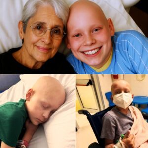 Dying Girl with Cancer Had One Final Wish — Joan Baez’s Unbelievable Response Left Her Family in Tears!