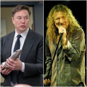 🔴 Elon Musk Offers Robert Plant a Ten-Figure Deal — Rock Legend’s Five-Word Response Shocks the World nabeo