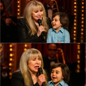 The stage gradually sank into darkness, silence spreading, and then — a little boy appeared, his tiny hand tightly holding Stevie Nicks’s_TD