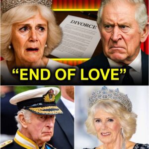 King Charles Just SIGNED Divorce Papers For Camilla’s BETRAYAL - Royals STUNNED!