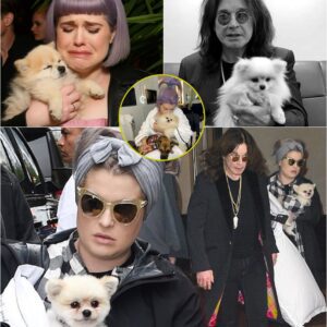 📰 After Ozzy’s Death, Kelly Osbourne Decides to Do One Thing With This Dog That Leaves Fans Outraged 😱🔥 nh
