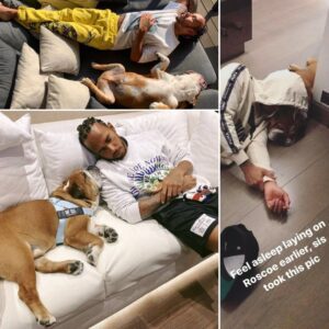 Why Lewis Hamilton Can’t Live Without Roscoe: The Bulldog Who Became His Anchor ❤️
