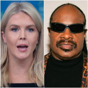 “You Don’t Get to Rewrite WHO I AM, Karoline”: Stevie Wonder’s Fiery Response to Political Attack nango