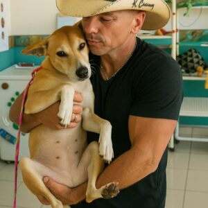 Kenny Chesney Buys Out a Failing Dog Rescue Center – And What He Did Next Left the Internet in Tears!!!