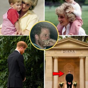 “MUMMY, MISS YOU” – Prince Harry Makes SECRET VISIT to Princess Diana’s Grave on 28th Anniversary of Her D/ea/th – Heartbreaking Moment Moves Million Into Tears 😱👇👇