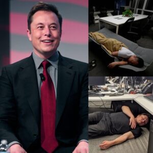 BREAKING: “HOMELESS BILLIONAIRE?!” — ELON MUSK SAYS HE SLEEPS ON FRIENDS’ COUCHES
