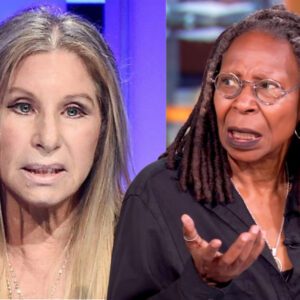 Barbra Streisand Silences Hollywood Critics with Seven Words: A Lesson in Grace and Power. ws