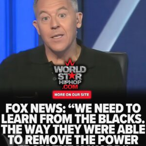 Fox News Host Goes Wild: 'We Need To Learn From The Blacks' To Reclaim The Word 'Nazi!' Says 'What Up, My Nazi?' On Live TV